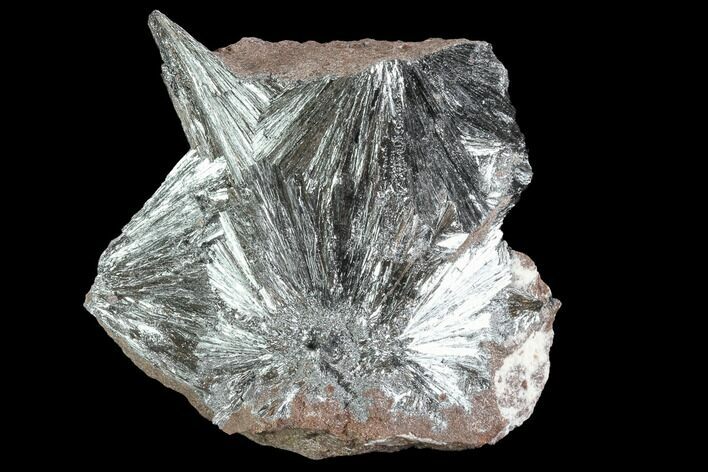 Metallic, Needle-Like Pyrolusite Cystals - Morocco #88938